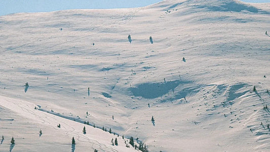 Snow-covered terrain for extended summer skiing